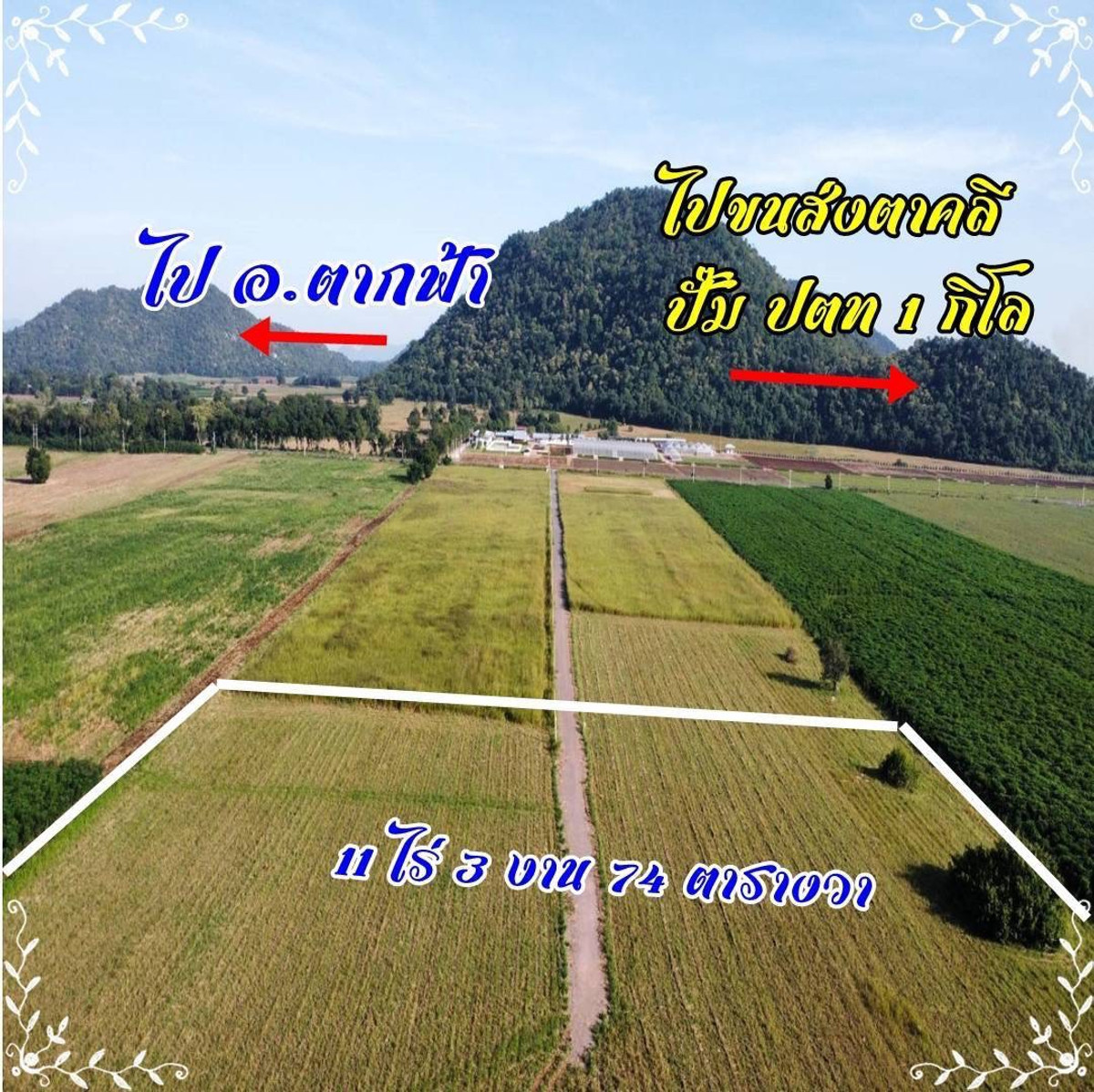 For SaleLandNakhon Sawan : Land for sale 11 rai 3 ngan 71 sq m, Nong Phikun Subdistrict, Tak Fa District, Nakhon Sawan Province. Mountain view, good weather