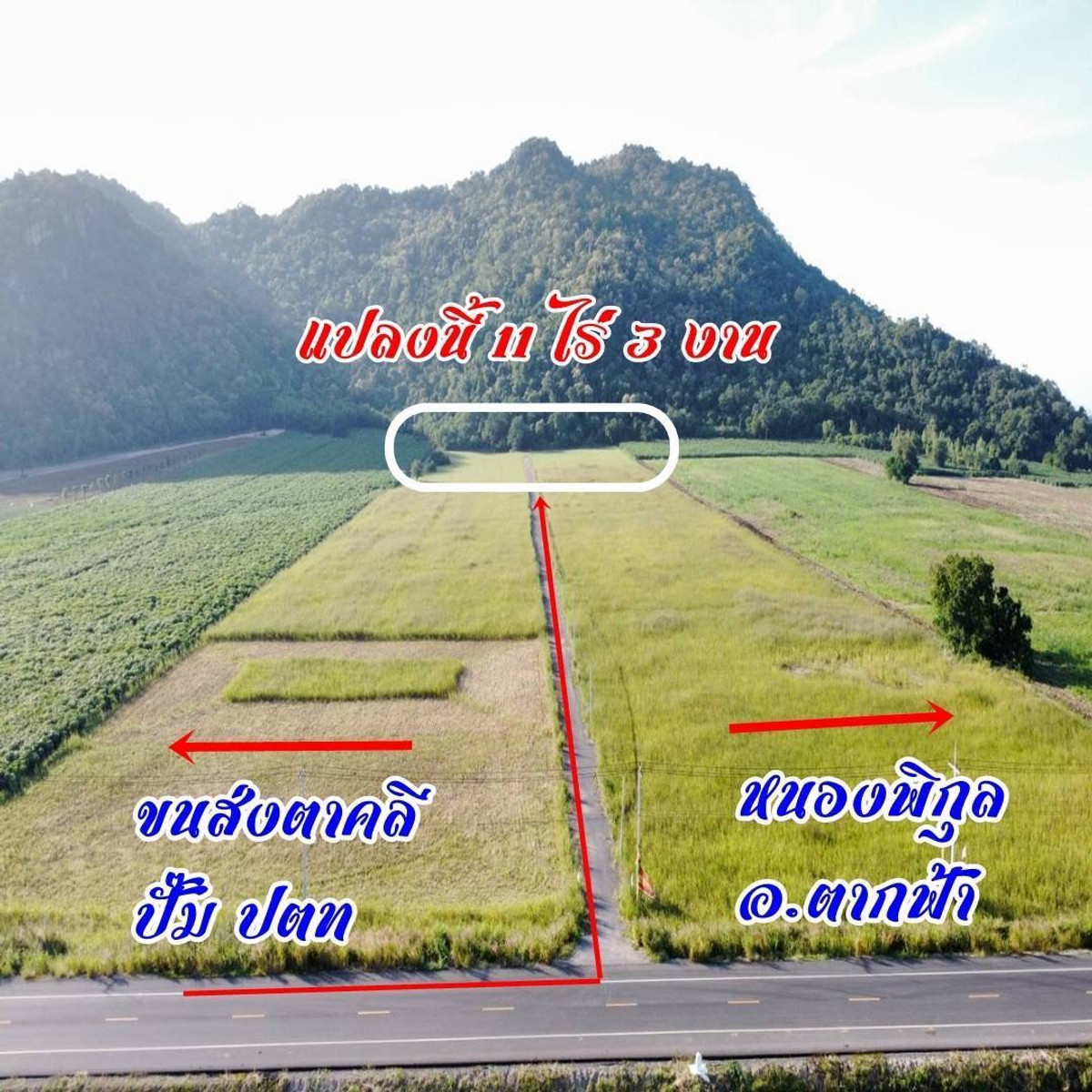 For SaleLandNakhon Sawan : Land for sale 11 rai 3 ngan 71 sq m, Nong Phikun Subdistrict, Tak Fa District, Nakhon Sawan Province. Mountain view, good weather