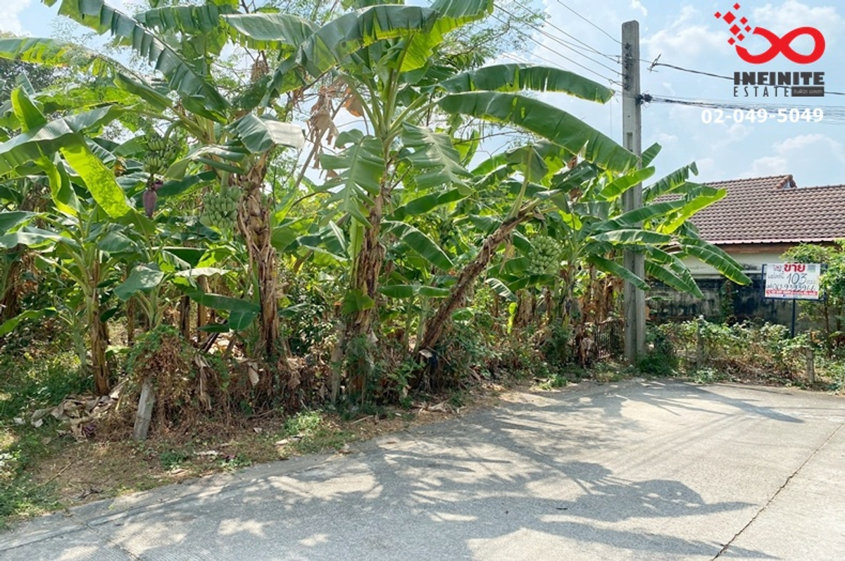 ขายที่ดินนนทบุรี บางใหญ่ บางบัวทอง : ขายที่ดิน 103ตรว.หมู่บ้านชลลดา บางบัวทอง เท่าราคาประเมิน ถมแล้ว 