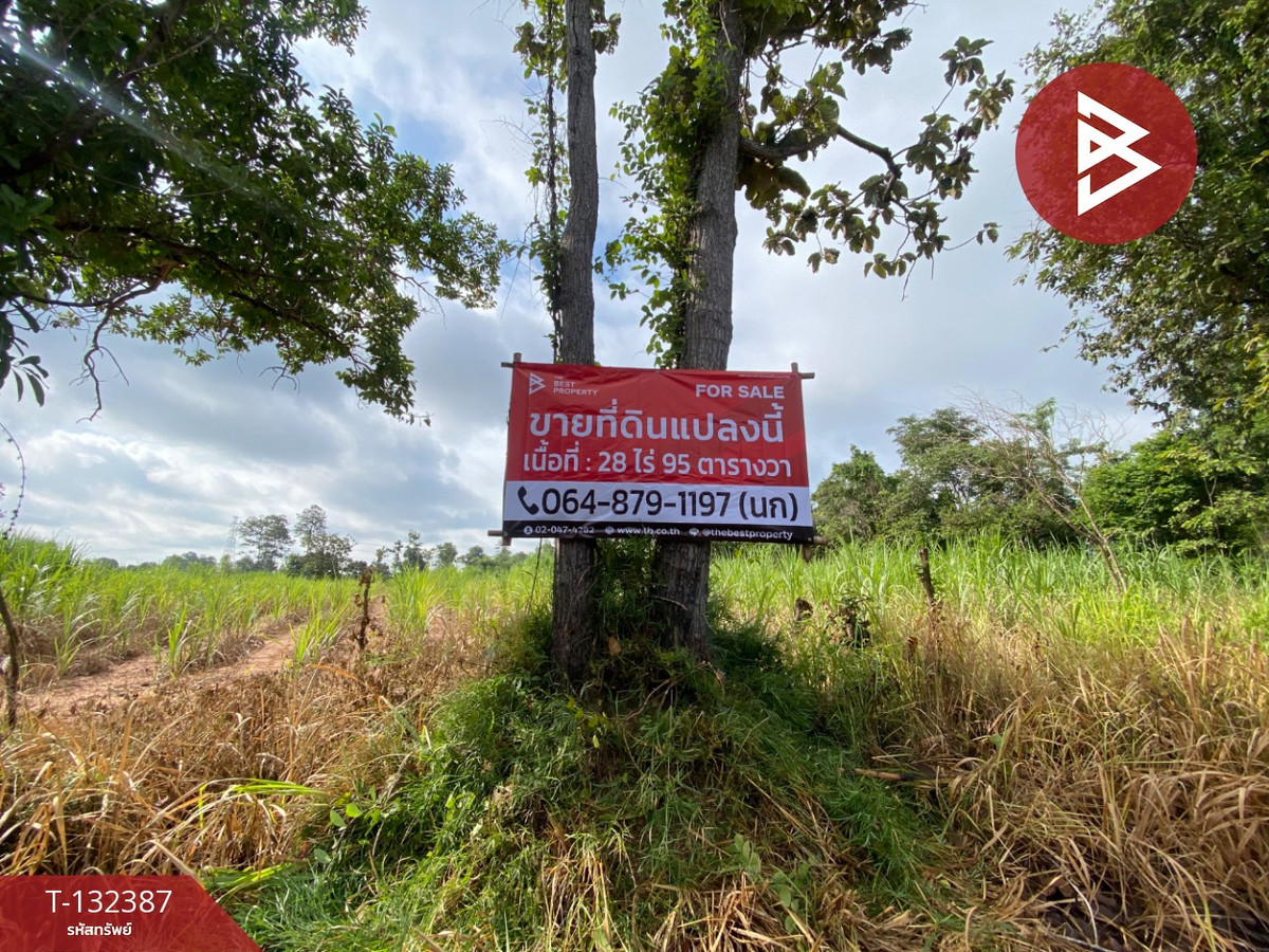 ขายที่ดินกาฬสินธุ์ : ขายที่ดิน เนื้อที่ 28 ไร่ 95 ตร.วา นาจารย์ กาฬสินธุ์