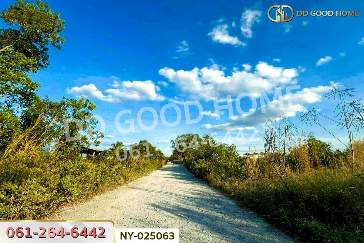 ขายที่ดินจันทบุรี : NY-025063 ที่ดินแหลมสิงห์ 15 ไร่ 112 ตร.ว. จันทบุรี ใกล้ฟาร์ม ซีพี บางสระแก้ว