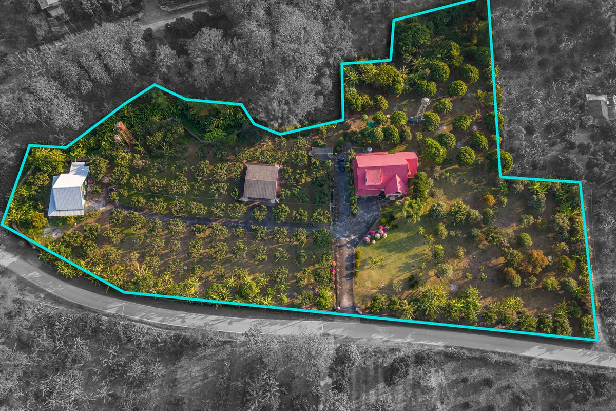 ขายบ้านเชียงใหม่ : บ้านพักส่วนตัววิวภูเขา พร้อมสวนลำไย 84 ต้น ใกล้สนามกอล์ฟ, เชียงใหม่