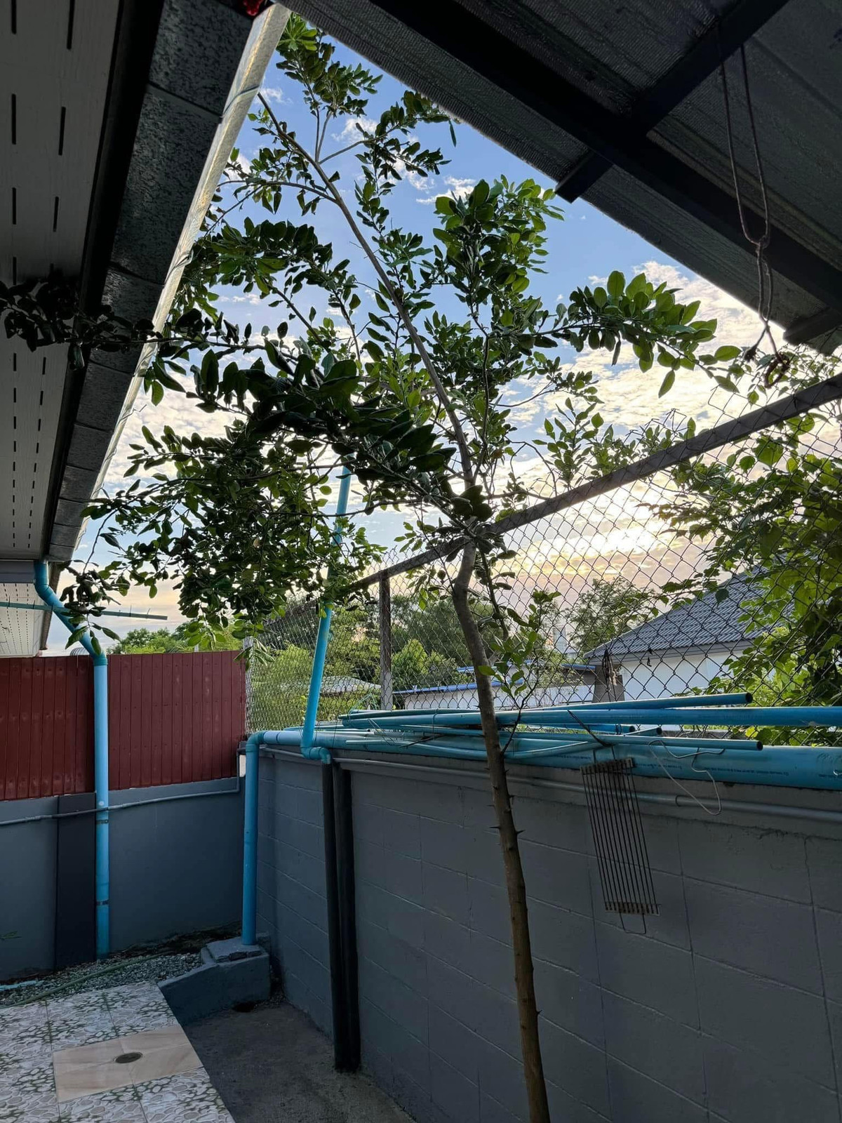 ให้เช่าบ้านพัทยา บางแสน ชลบุรี สัตหีบ : หมู่บ้าน รัตนากรวิลเลจ 17 / 2 ห้องนอน (เช่า), Ratanakorn Village 17 / 2 Bedrooms (FOR RENT) BEWN068