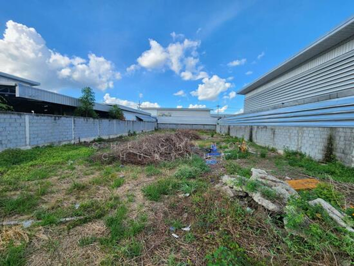 ขายที่ดินปทุมธานี รังสิต ธรรมศาสตร์ : ขายที่ดินเปล่า จัดสรรโกดัง 151 ตรวา.ลาดหลุมแก้ว ปทุมธานี ถมแล้ว 2.95mb