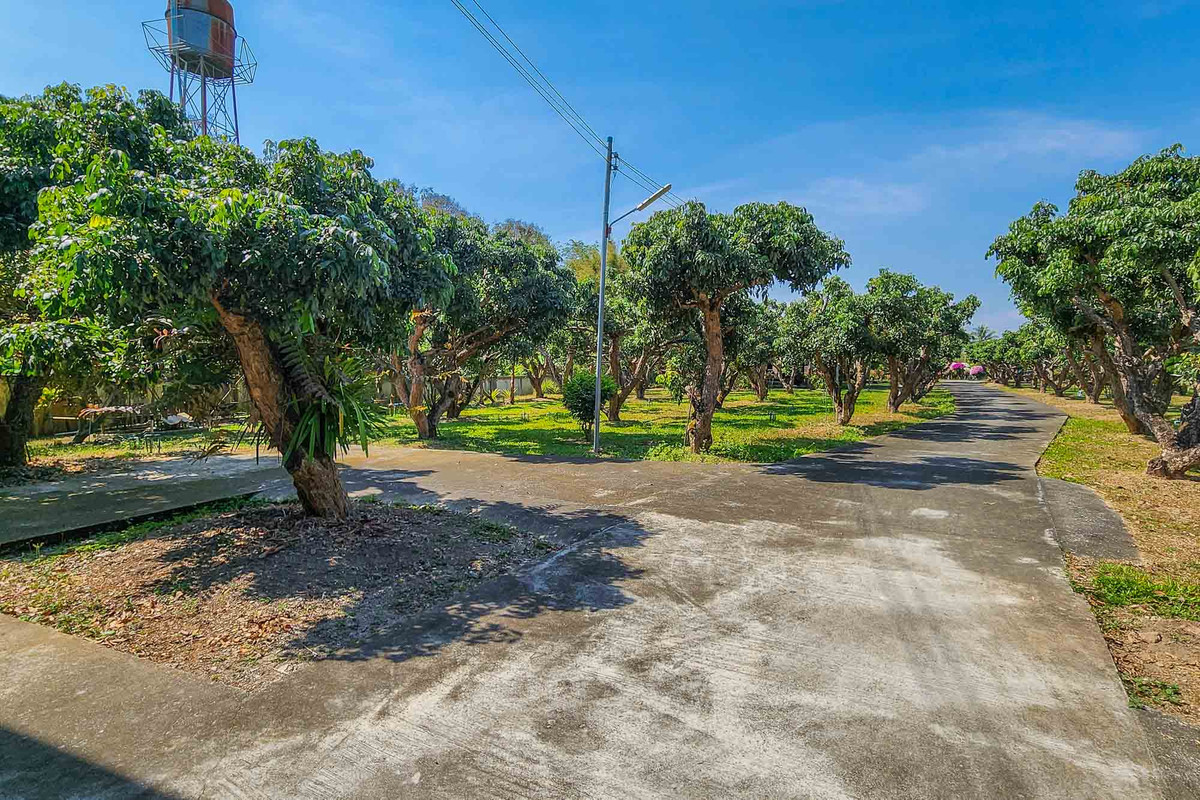 ขายบ้านเชียงใหม่ : บ้านพักส่วนตัววิวภูเขา พร้อมสวนลำไย 84 ต้น ใกล้สนามกอล์ฟ, เชียงใหม่