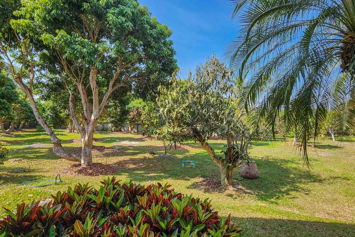 ขายบ้านเชียงใหม่ : บ้านพักส่วนตัววิวภูเขา พร้อมสวนลำไย 84 ต้น ใกล้สนามกอล์ฟ, เชียงใหม่