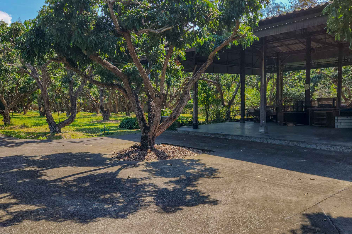 ขายบ้านเชียงใหม่ : บ้านพักส่วนตัววิวภูเขา พร้อมสวนลำไย 84 ต้น ใกล้สนามกอล์ฟ, เชียงใหม่