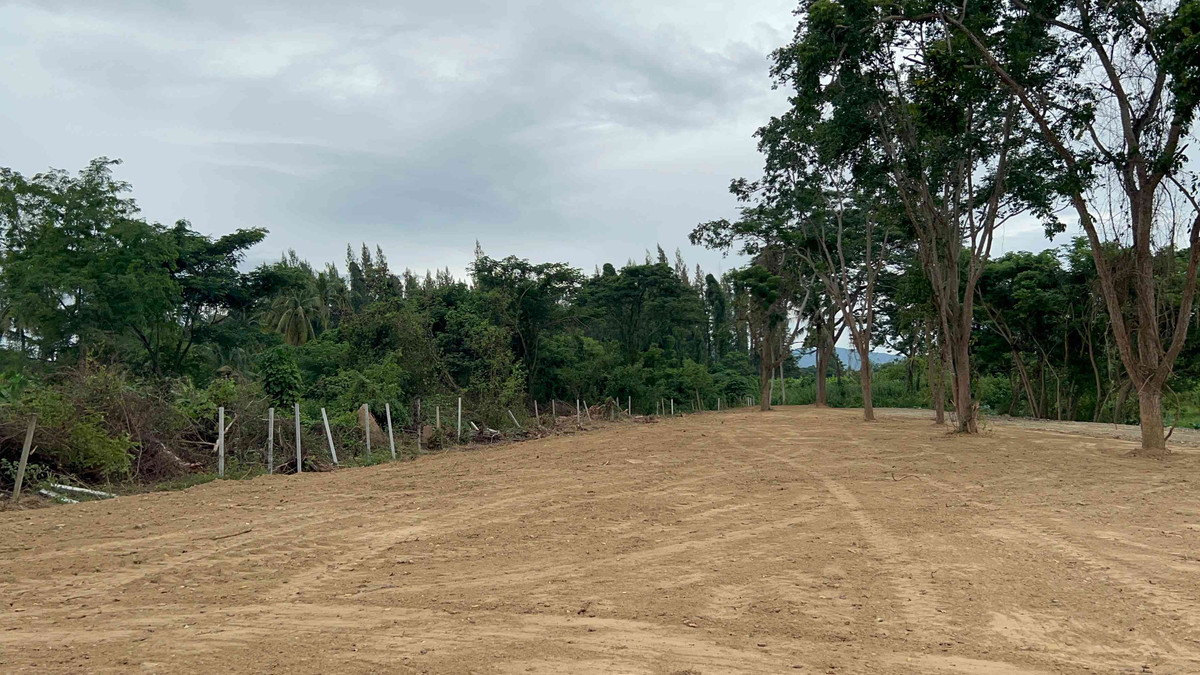 For SaleLandCha-am Phetchaburi : Empty land for sale High potential location Next to Mae Prachan Canal, Tha Yang District, Phetchaburi Province.