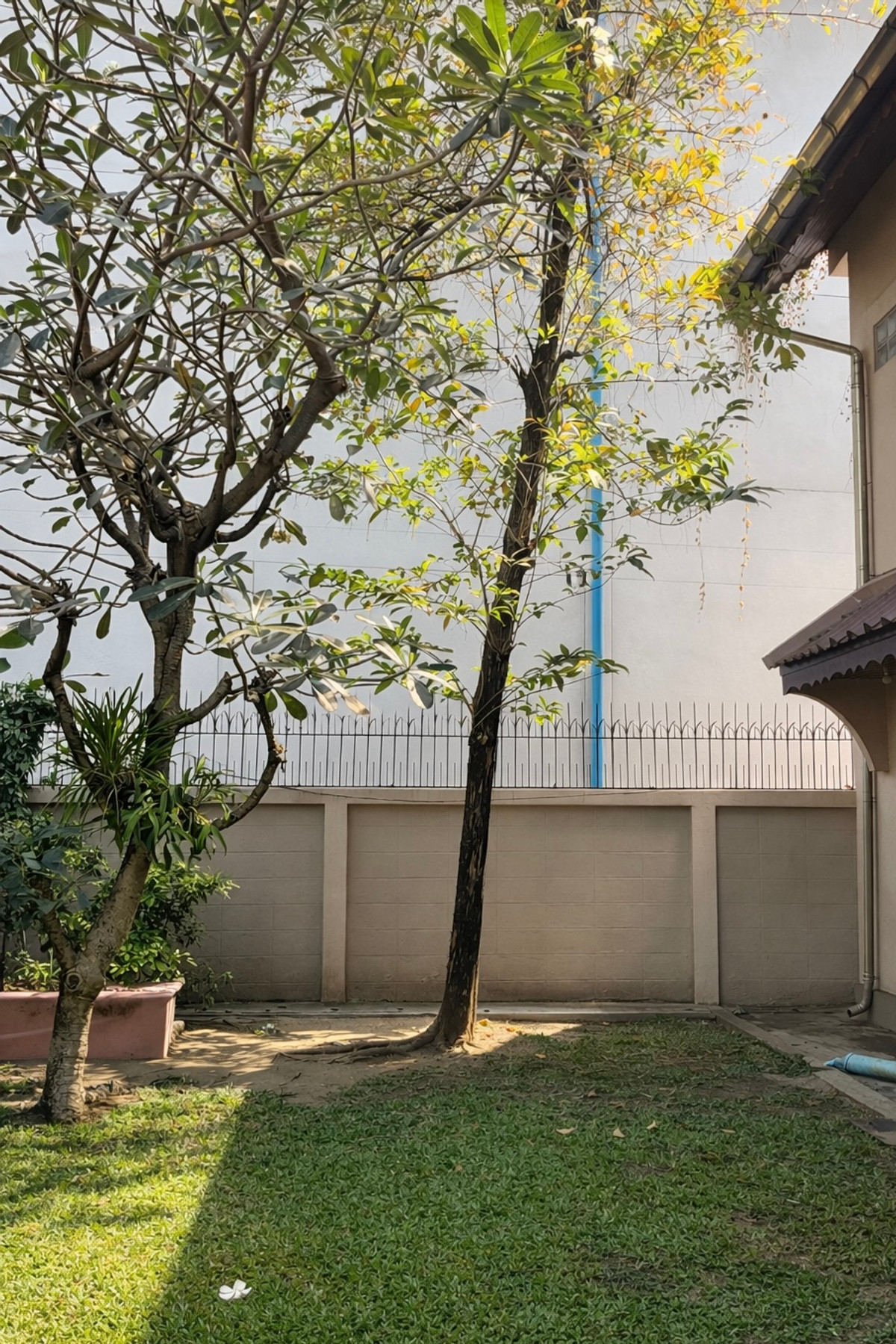 ขายบ้านสุขุมวิท อโศก ทองหล่อ : Urgent Sale Luxury House Sukhumvit | Prime Location High Demand Area Best Value | Near BTS Ekkamai | 29.5 MB (Reduced from 31 MB) | ขายด่วน บ้านหรูสุขุมวิท ทำเลฮิต ราคาพิเศษ ลดเหลือ 29.5 ล้านบาท ใกล้ BTS เอกมัย – LTH14350OP 