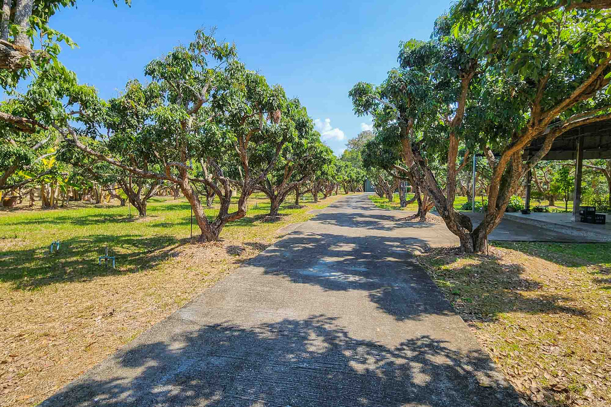 ขายบ้านเชียงใหม่ : บ้านพักส่วนตัววิวภูเขา พร้อมสวนลำไย 84 ต้น ใกล้สนามกอล์ฟ, เชียงใหม่