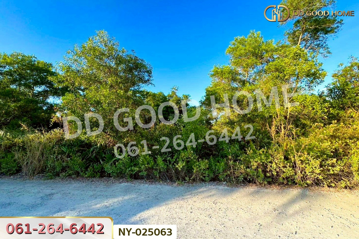 ขายที่ดินจันทบุรี : NY-025063 ที่ดินแหลมสิงห์ 15 ไร่ 112 ตร.ว. จันทบุรี ใกล้ฟาร์ม ซีพี บางสระแก้ว