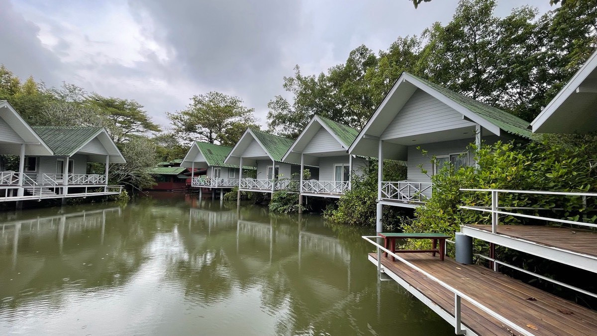 ขายที่ดินนนทบุรี บางใหญ่ บางบัวทอง : ขายที่ดิน ติดแม่น้ำบางใหญ่ 8-2-13.5 ไร่ เหมาะทำ Wellness