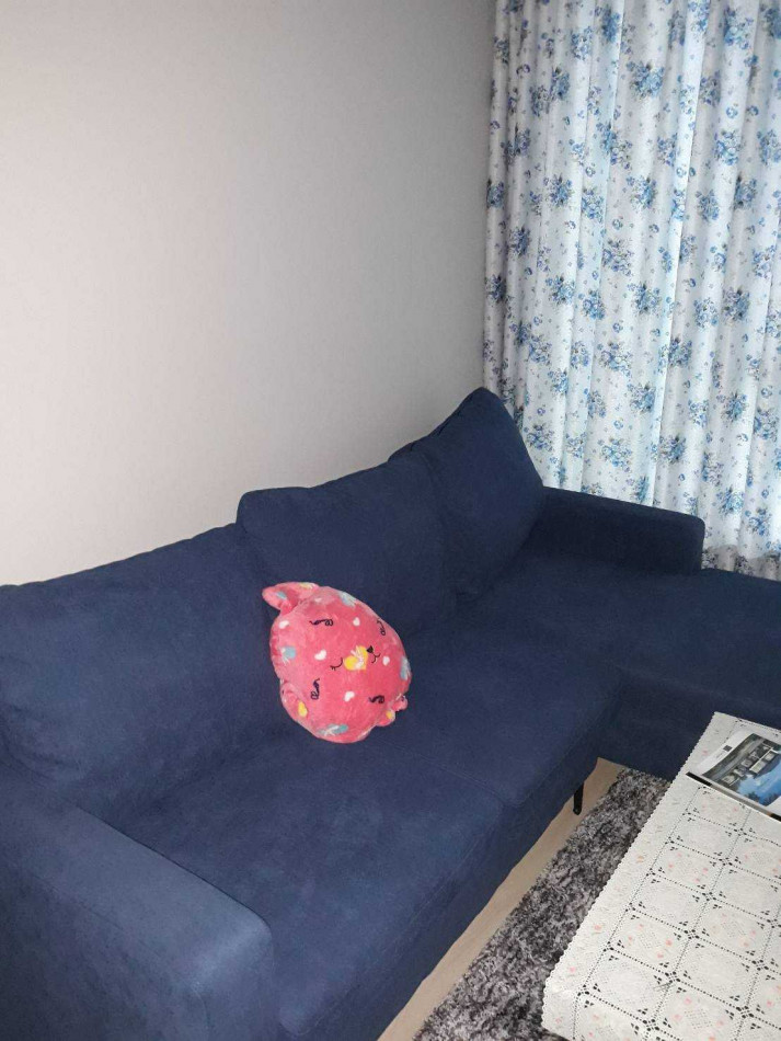 ขายคอนโดนนทบุรี บางใหญ่ บางบัวทอง : ขาย คอนโด CASA CONDO บางใหญ่ 35.18 ตรม ใกล้ เซ็นทรัล เวสต์เกต