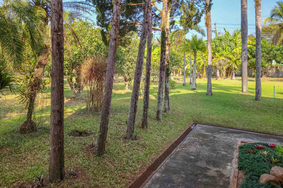 ขายบ้านเชียงใหม่ : บ้านพักส่วนตัววิวภูเขา พร้อมสวนลำไย 84 ต้น ใกล้สนามกอล์ฟ, เชียงใหม่