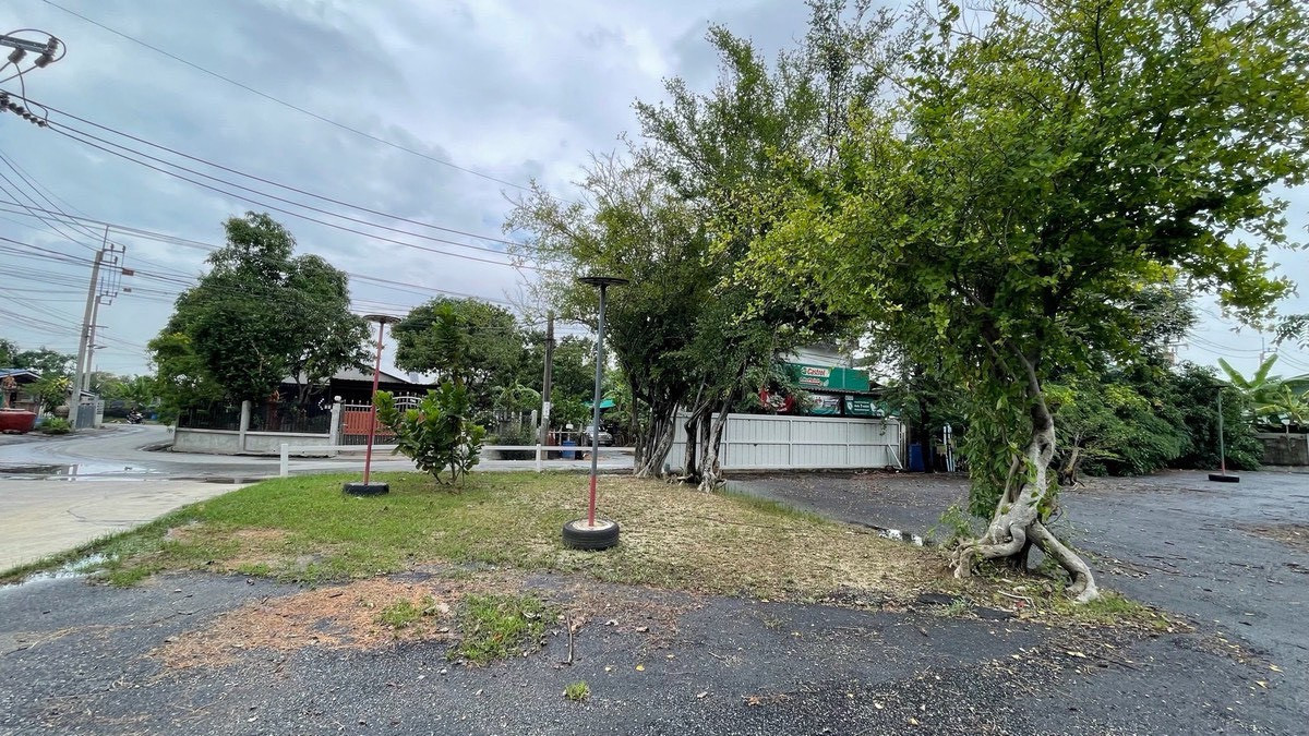 ขายที่ดินนนทบุรี บางใหญ่ บางบัวทอง : ขายที่ดิน ติดแม่น้ำบางใหญ่ 8-2-13.5 ไร่ เหมาะทำ Wellness