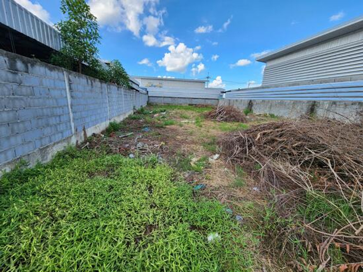 ขายที่ดินปทุมธานี รังสิต ธรรมศาสตร์ : ขายที่ดินเปล่า จัดสรรโกดัง 151 ตรวา.ลาดหลุมแก้ว ปทุมธานี ถมแล้ว 2.95mb