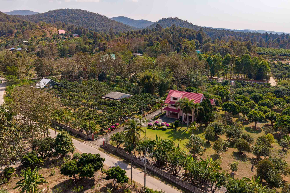 ขายบ้านเชียงใหม่ : บ้านพักส่วนตัววิวภูเขา พร้อมสวนลำไย 84 ต้น ใกล้สนามกอล์ฟ, เชียงใหม่