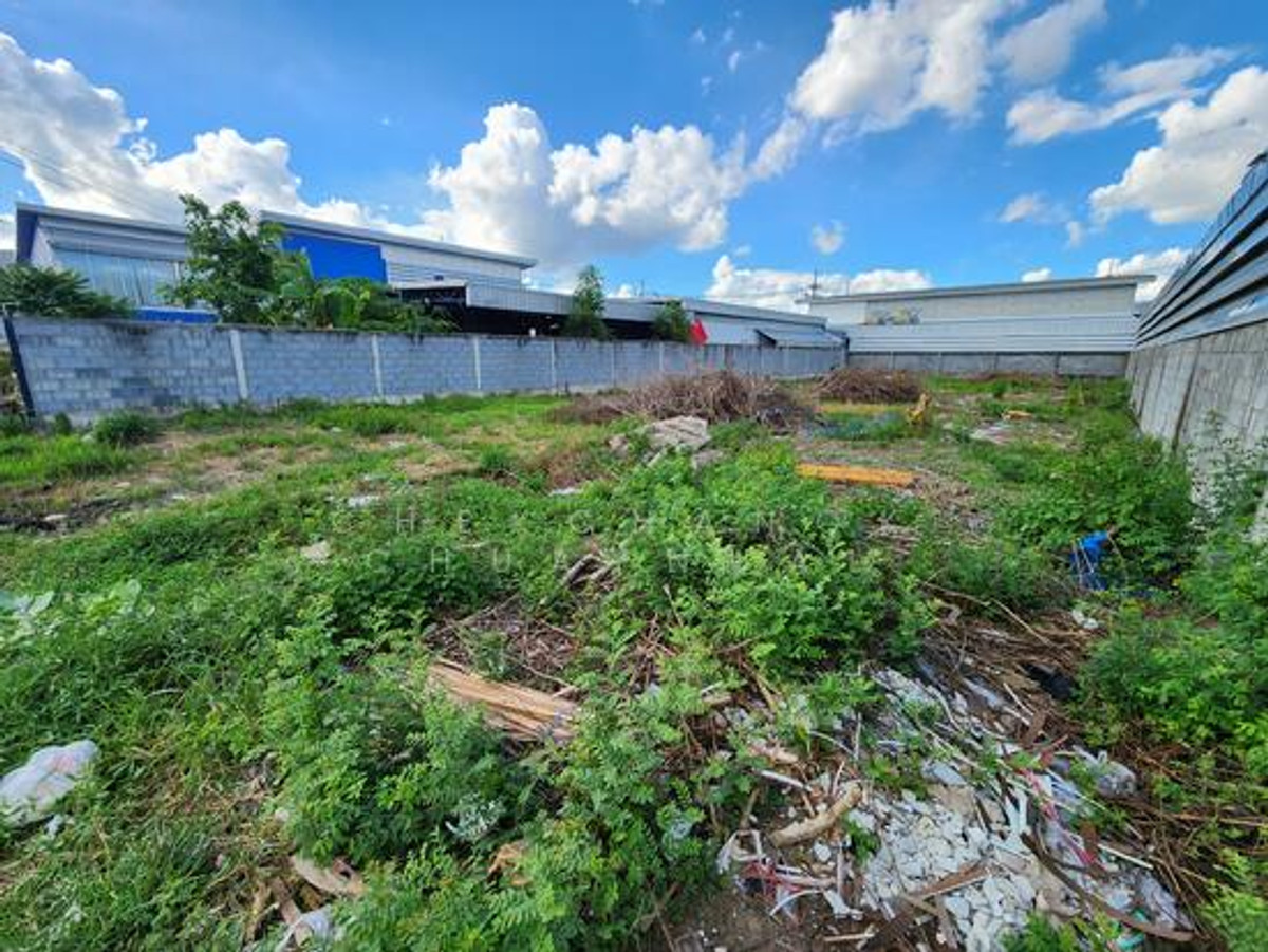 ขายที่ดินปทุมธานี รังสิต ธรรมศาสตร์ : ขายที่ดินเปล่า จัดสรรโกดัง 151 ตรวา.ลาดหลุมแก้ว ปทุมธานี ถมแล้ว 2.95mb