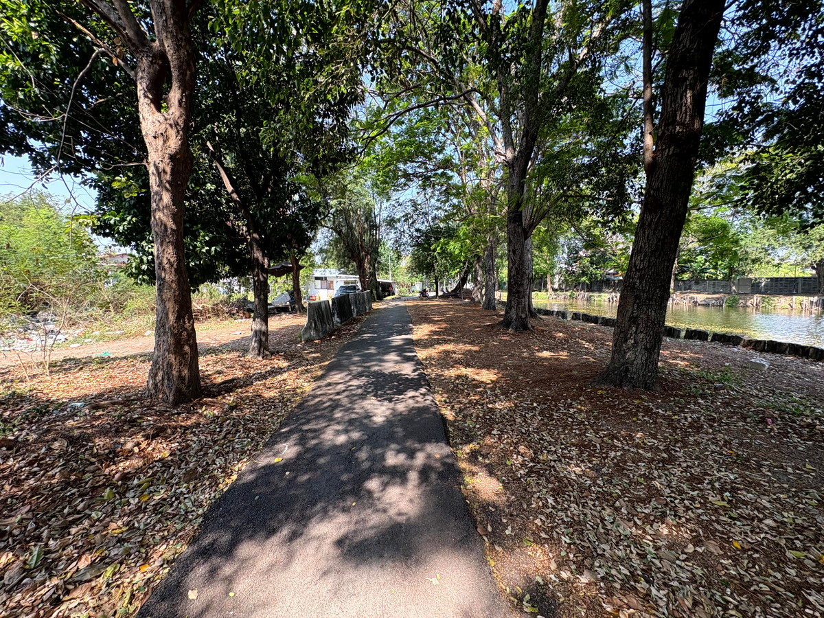 For SaleLandNawamin, Ramindra : (10 February 2026) Lakeside land 208 square wah, lakeside Nawamin Phirom Park, Nawamin 24 Uthen 8-2, width 25 meters, depth 32 meters, 8,500,000.- (40,800.- per square wah)