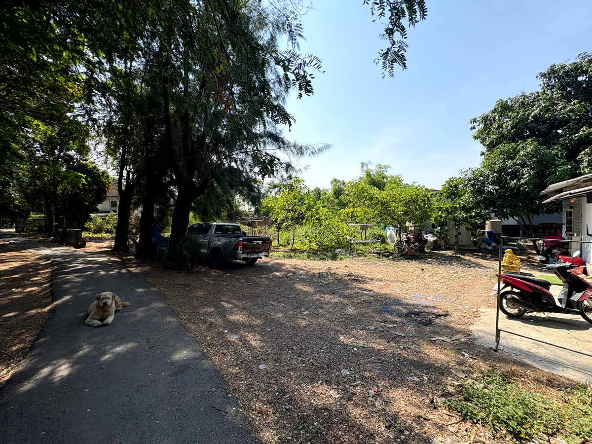 For SaleLandNawamin, Ramindra : (10 February 2026) Lakeside land 208 square wah, lakeside Nawamin Phirom Park, Nawamin 24 Uthen 8-2, width 25 meters, depth 32 meters, 8,500,000.- (40,800.- per square wah)