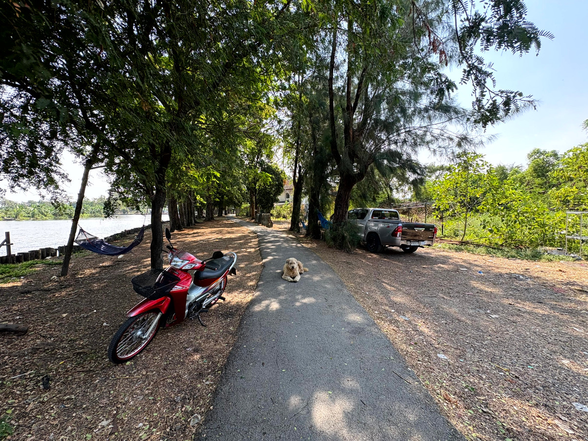 For SaleLandNawamin, Ramindra : (10 February 2026) Lakeside land 208 square wah, lakeside Nawamin Phirom Park, Nawamin 24 Uthen 8-2, width 25 meters, depth 32 meters, 8,500,000.- (40,800.- per square wah)