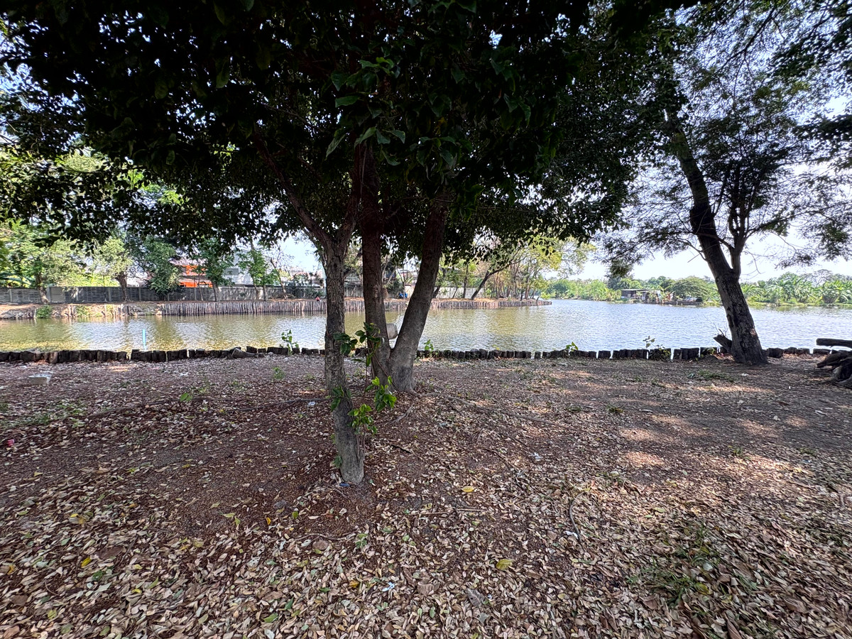 For SaleLandNawamin, Ramindra : (10 February 2026) Lakeside land 208 square wah, lakeside Nawamin Phirom Park, Nawamin 24 Uthen 8-2, width 25 meters, depth 32 meters, 8,500,000.- (40,800.- per square wah)
