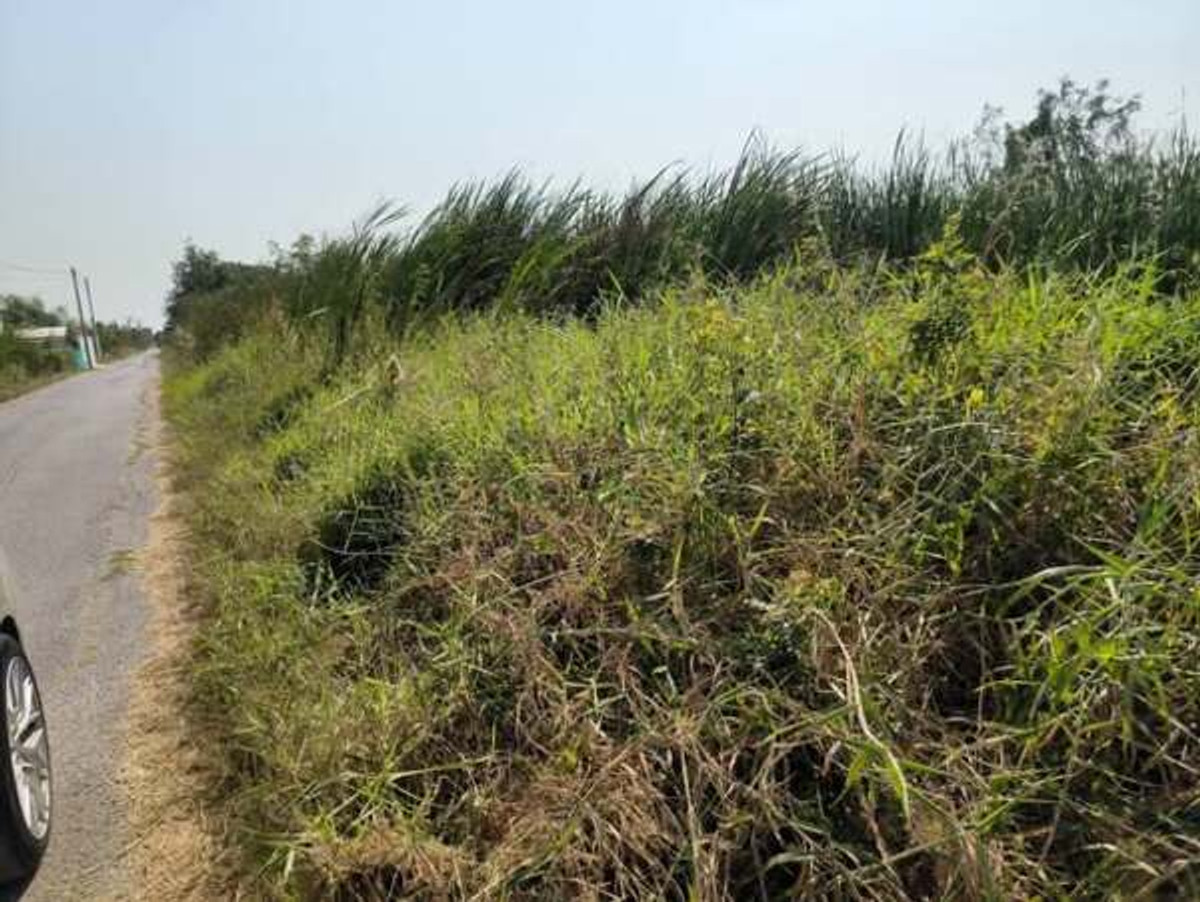For SaleLandAyutthaya : Large plot of land, prime location, near Bang Pa-in, good price, 