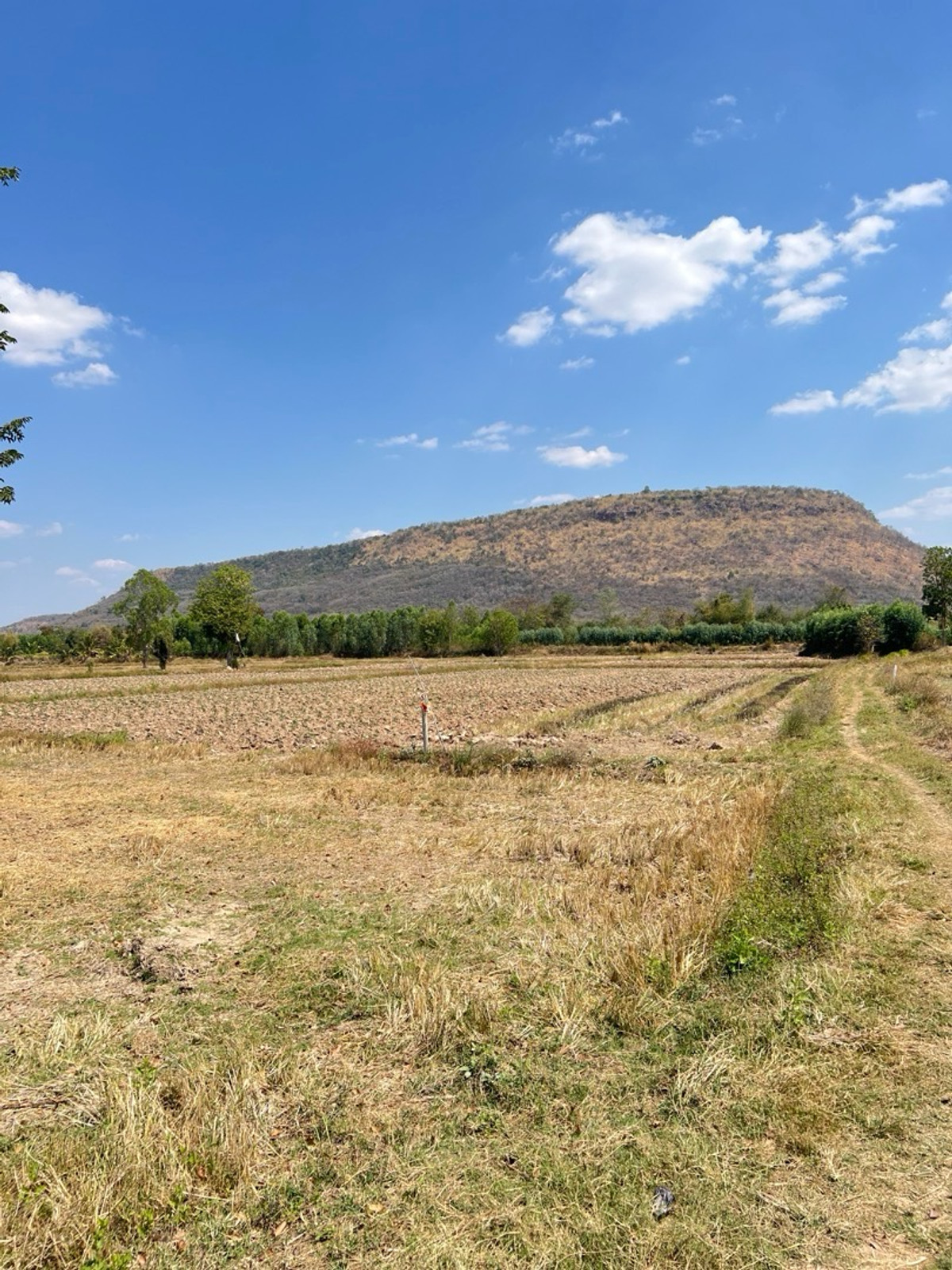 ขายที่ดินโคราช นครราชสีมา : บ้านสวน/เกษตร