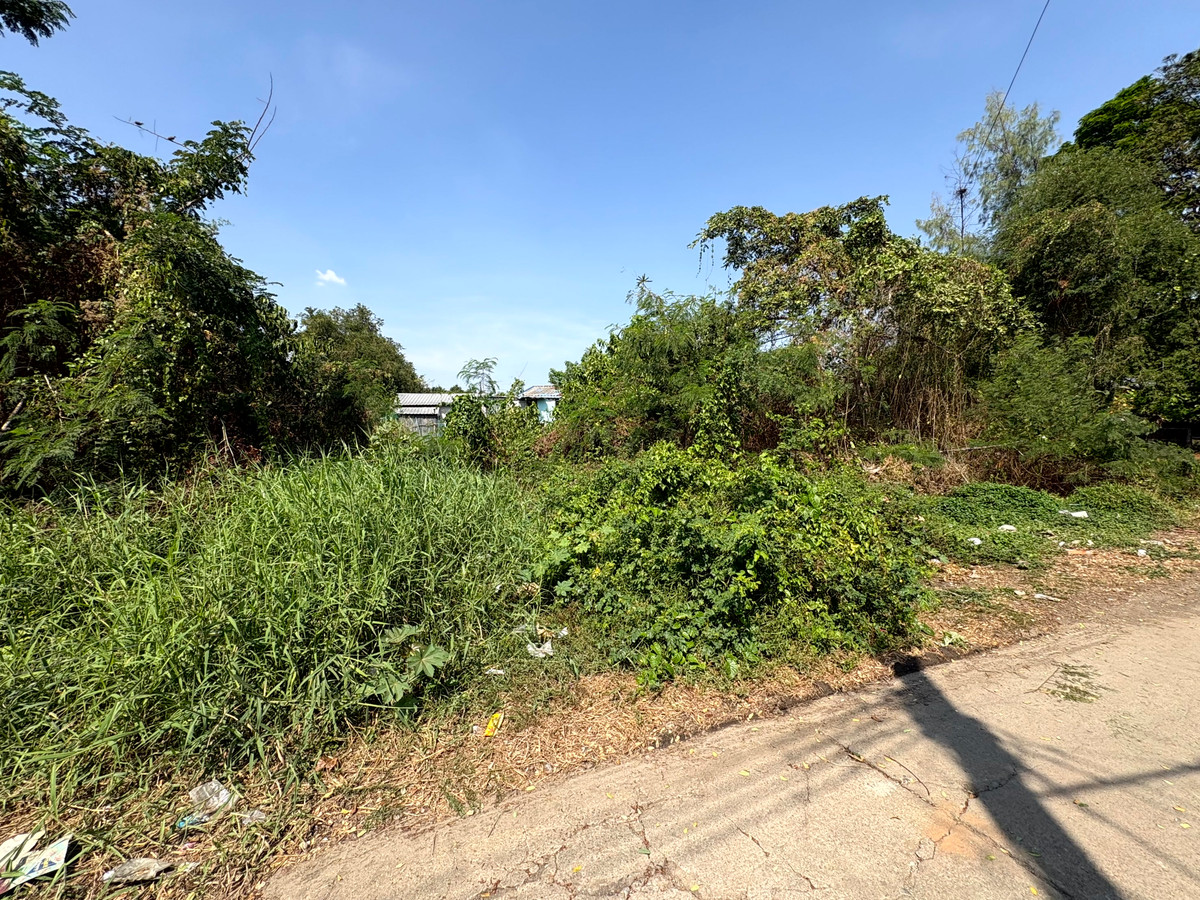 For SaleLandNawamin, Ramindra : (10 February 2026) Lakeside land 208 square wah, lakeside Nawamin Phirom Park, Nawamin 24 Uthen 8-2, width 25 meters, depth 32 meters, 8,500,000.- (40,800.- per square wah)