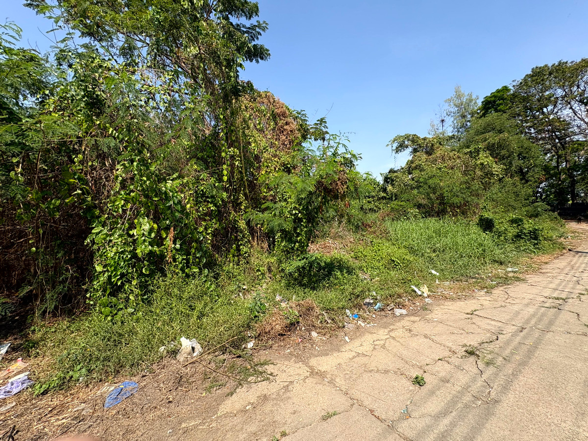 For SaleLandNawamin, Ramindra : (10 February 2026) Lakeside land 208 square wah, lakeside Nawamin Phirom Park, Nawamin 24 Uthen 8-2, width 25 meters, depth 32 meters, 8,500,000.- (40,800.- per square wah)