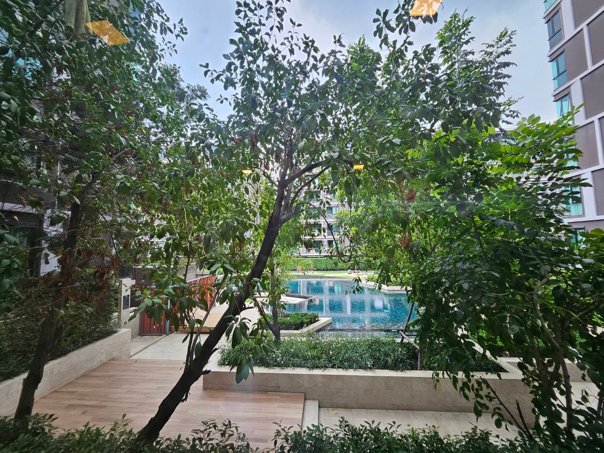 ให้เช่าคอนโดโชคชัย4 ลาดพร้าว71 : Atmoz ลาดพร้าว 71 อาคาร B 34.75 ตร.ม. ชั้น 2 ติดสระ ครัวแยก วิวสวน เฟอร์ครบ 13,000/เดือน