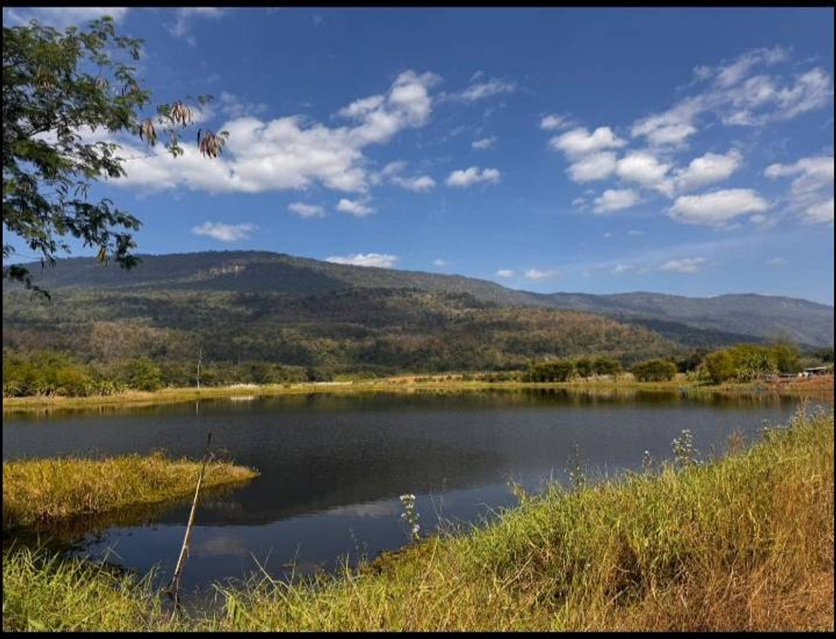 ขายที่ดินชัยภูมิ : ขายที่ดินเปล่า วิวภูเขาและ ติดอ่างเก็บน้ำธรรมชาติ  ติดถนน 2 ด้าน ทำเลดี อำเภอหนองบัวแดง จังหวัดชัยภูมิ