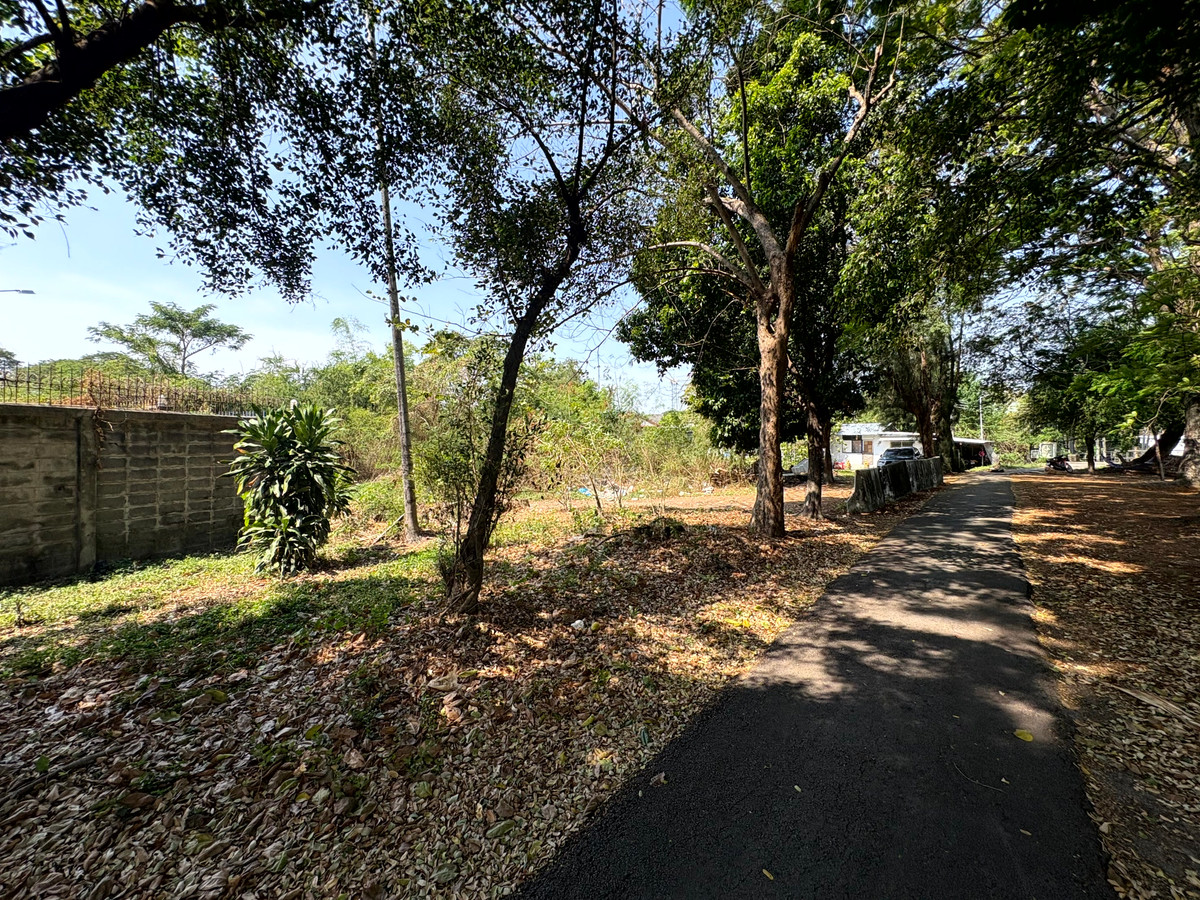 For SaleLandNawamin, Ramindra : (10 February 2026) Lakeside land 208 square wah, lakeside Nawamin Phirom Park, Nawamin 24 Uthen 8-2, width 25 meters, depth 32 meters, 8,500,000.- (40,800.- per square wah)