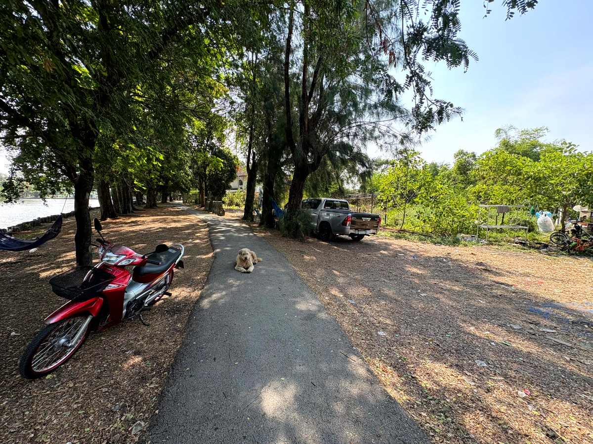 For SaleLandNawamin, Ramindra : (10 February 2026) Lakeside land 208 square wah, lakeside Nawamin Phirom Park, Nawamin 24 Uthen 8-2, width 25 meters, depth 32 meters, 8,500,000.- (40,800.- per square wah)