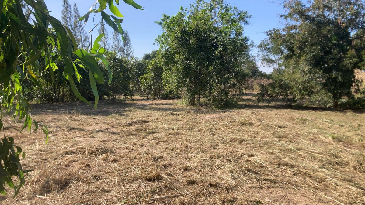 ขายที่ดินหัวหิน ประจวบคีรีขันธ์ : ขายที่ดินเปล่า หัวหิน ทับใต้ 12-3-13 ไร่ ติดถนน ทำเลดี ใกล้แม็คโคร ปราณบุรี