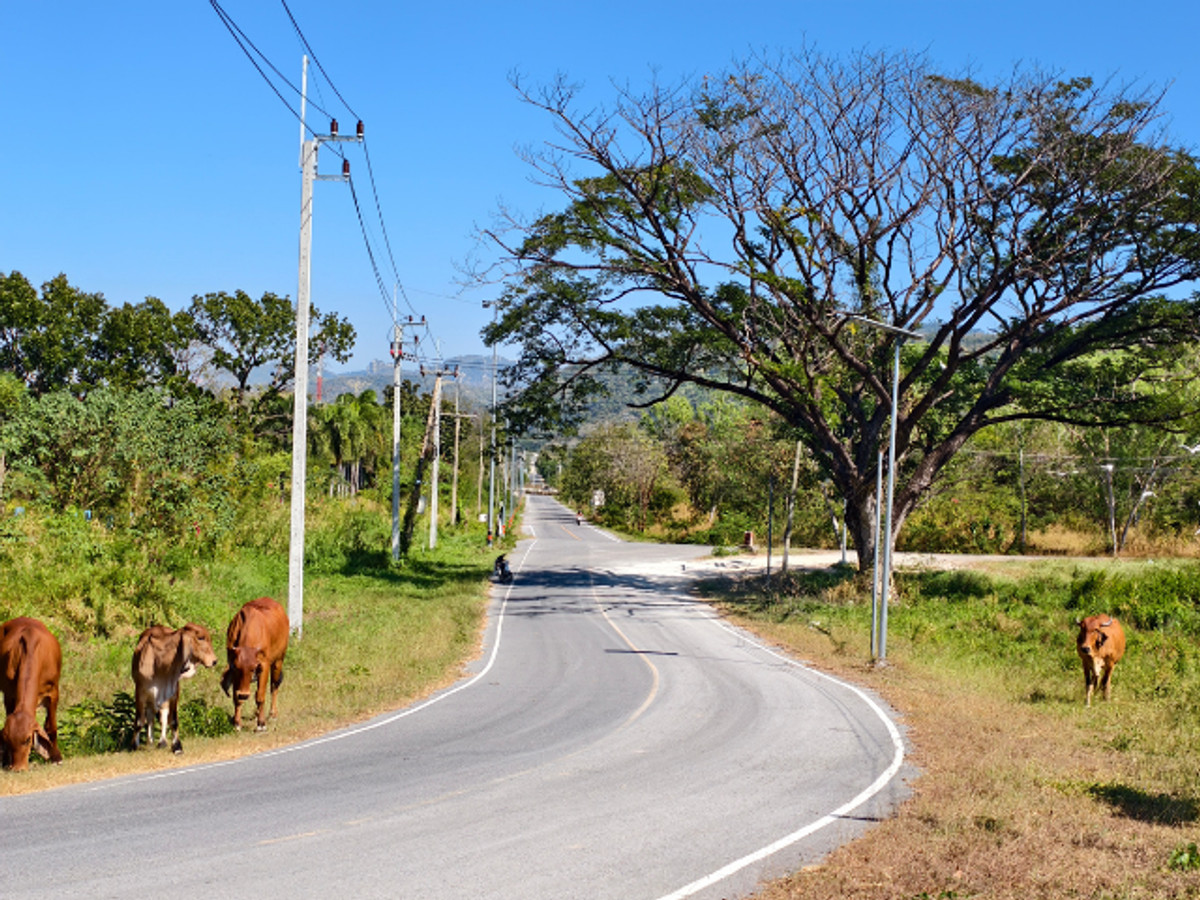ขายที่ดินสระบุรี : ที่ดินถมแล้ว 23 ไร่ ทำเลทอง ต.ทับกวาง อ.แก่งคอย จ.สระบุรี ใกล้ทางลง M6 เพียง 23 ล้าน เหมาะลงทุนรีสอร์ท โรงแรม ร้านอาหาร คาเฟ่ โอกาสทองสำหรับนักลงทุนที่มองหาพื้นที่สร้างแลนด์มาร์คใหม่