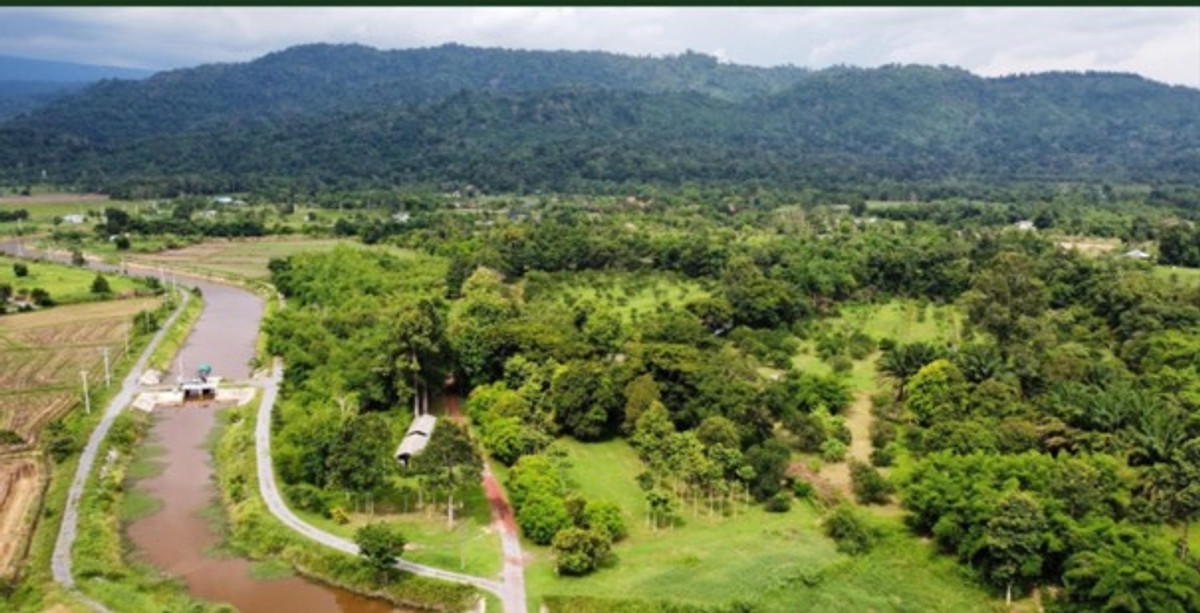 ขายที่ดินนครนายก : 🌳 ที่ดินแปลงสวยวิวเขาใหญ่ 85 ไร่ ต.หินตั้ง นครนายก ⛰️ ขายต่ำกว่าราคาประเมิน โฉนดครุฑแดง