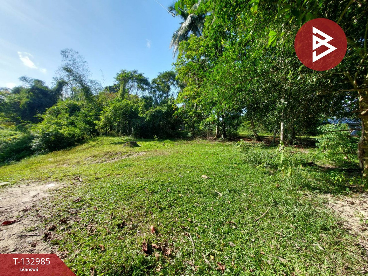 ขายที่ดินนครศรีธรรมราช : ขายที่ดิน เนื้อที่ 81 ตร.วา โพธิ์เสด็จ นครศรีธรรมราช