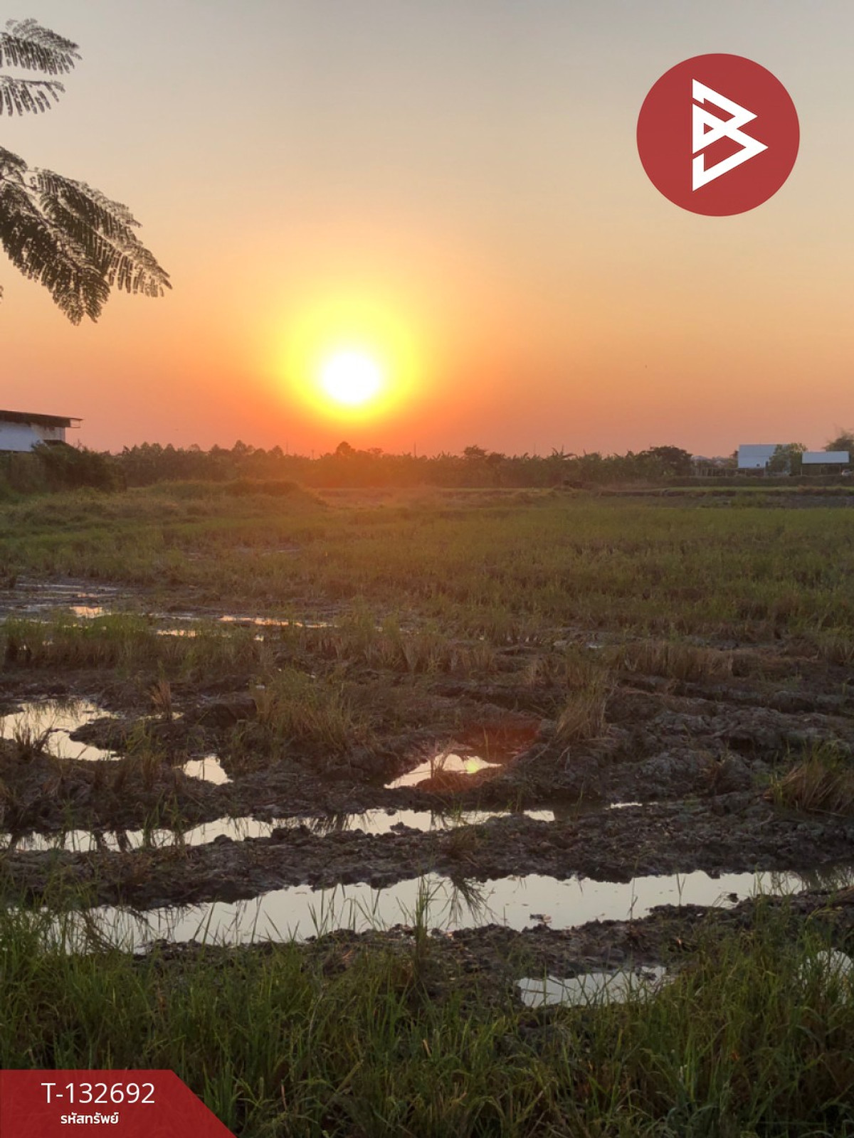 For SaleLandChai Nat : Land for sale, area 3 rai 1 ngan 10 square wah, Khao Tha Phra, Mueang Chainat.