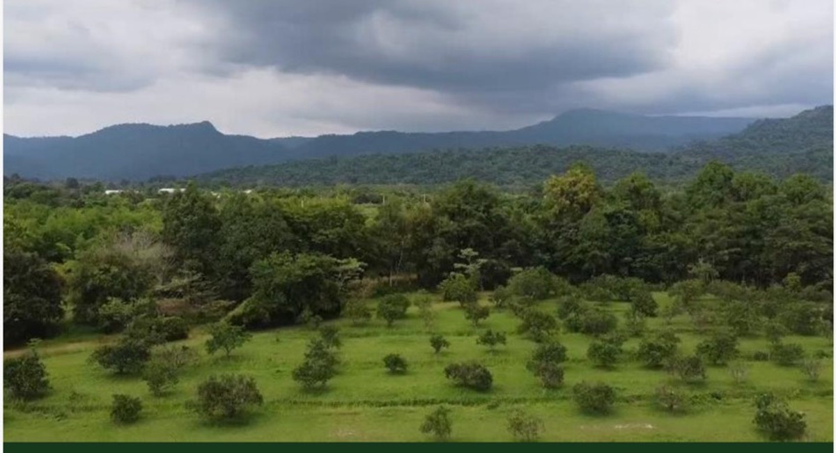 ขายที่ดินนครนายก : 🌳 ที่ดินแปลงสวยวิวเขาใหญ่ 85 ไร่ ต.หินตั้ง นครนายก ⛰️ ขายต่ำกว่าราคาประเมิน โฉนดครุฑแดง