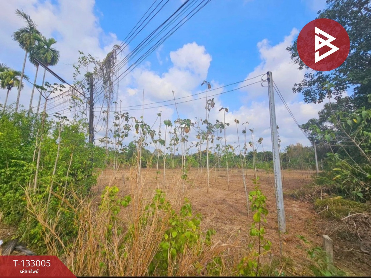 ขายที่ดินจันทบุรี : ขายที่ดินสวย เนื้อที่ 2 ไร่ 19 ตารางวา ใจกลางเมืองท่าใหม่ จันทบุรี