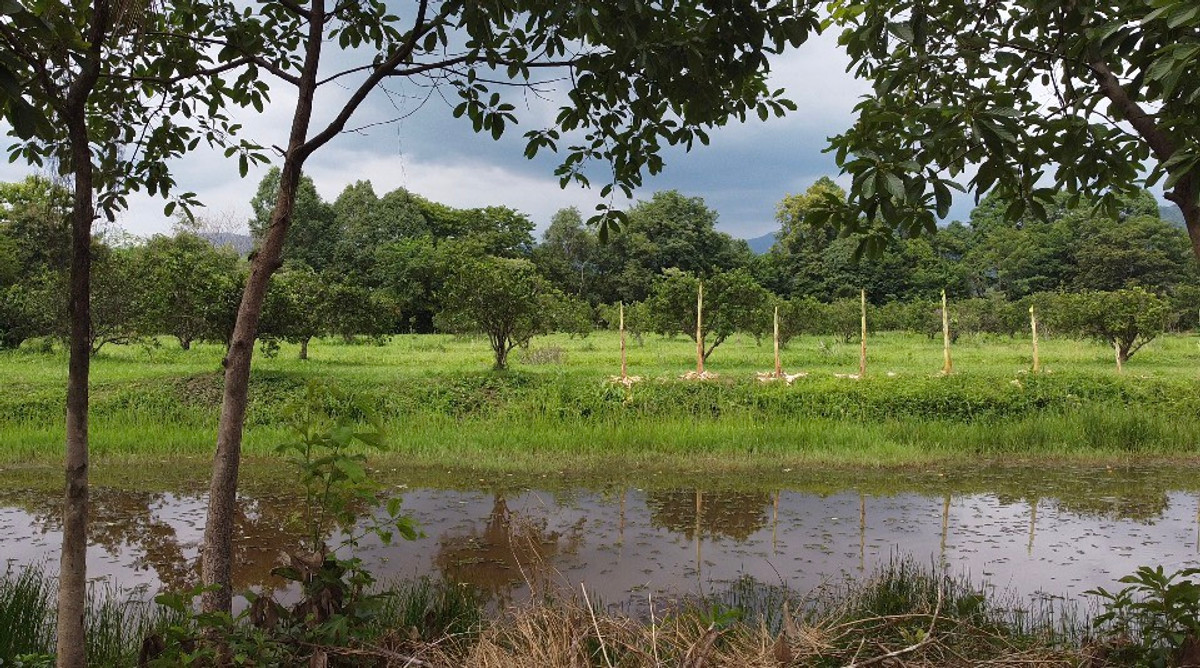 For SaleLandNakhon Nayok : 🌳 Beautiful plot of land with Khao Yai view, 85 rai, Hin Tang Subdistrict, Nakhon Nayok ⛰️ Selling below appraised price, Red Garuda title deed.