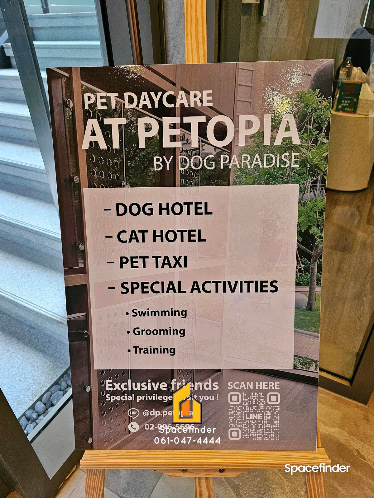 For RentCondoBangna, Bearing, Lasalle : Pet-friendly 2 Bedrooms Condo For Rent at Whizdom The Forestia – PETOPIA Building (Expats Welcome!)