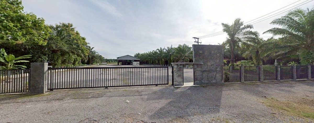 For SaleWarehouseKoh Samui, Surat Thani : Land for sale with warehouse and office building, potential location on Asia Road 41, Ban Na San District. Surat Thani Province