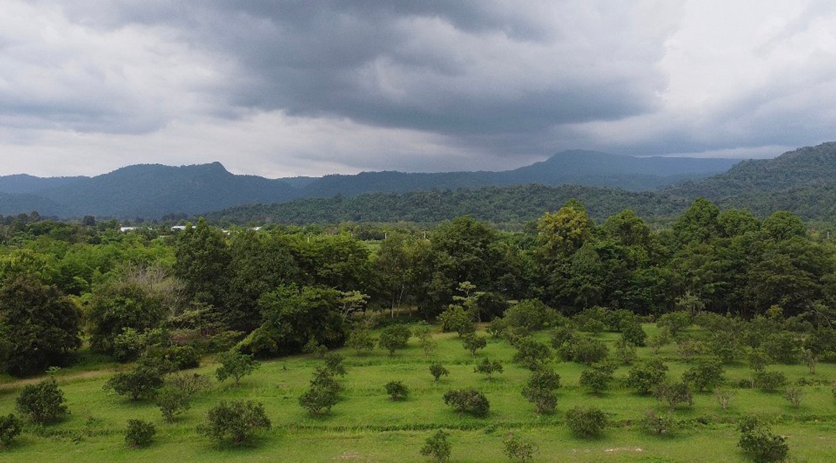 ขายที่ดินนครนายก : 🌳 ที่ดินแปลงสวยวิวเขาใหญ่ 85 ไร่ ต.หินตั้ง นครนายก ⛰️ ขายต่ำกว่าราคาประเมิน โฉนดครุฑแดง