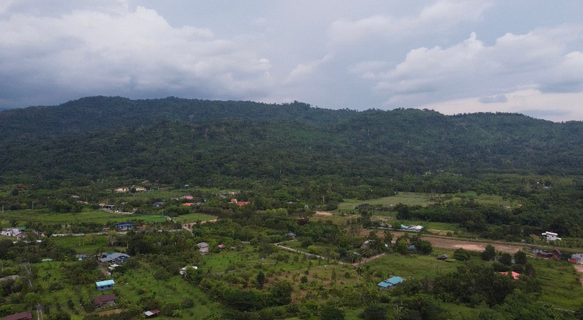 ขายที่ดินนครนายก : 🌳 ที่ดินแปลงสวยวิวเขาใหญ่ 85 ไร่ ต.หินตั้ง นครนายก ⛰️ ขายต่ำกว่าราคาประเมิน โฉนดครุฑแดง