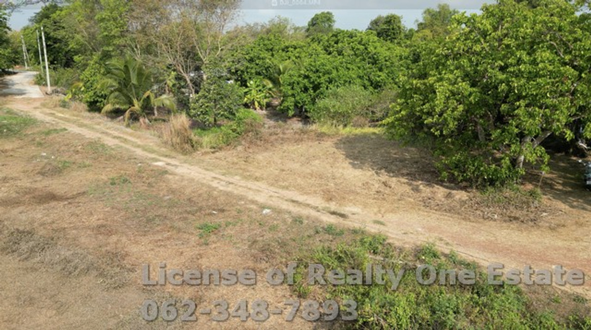 For SaleLandPrachin Buri : [Urgent sale!] Green land plot, 7 rai, Dong Khilek Subdistrict, Prachinburi Province, next to public roads. Prime location for home gardening and agriculture!