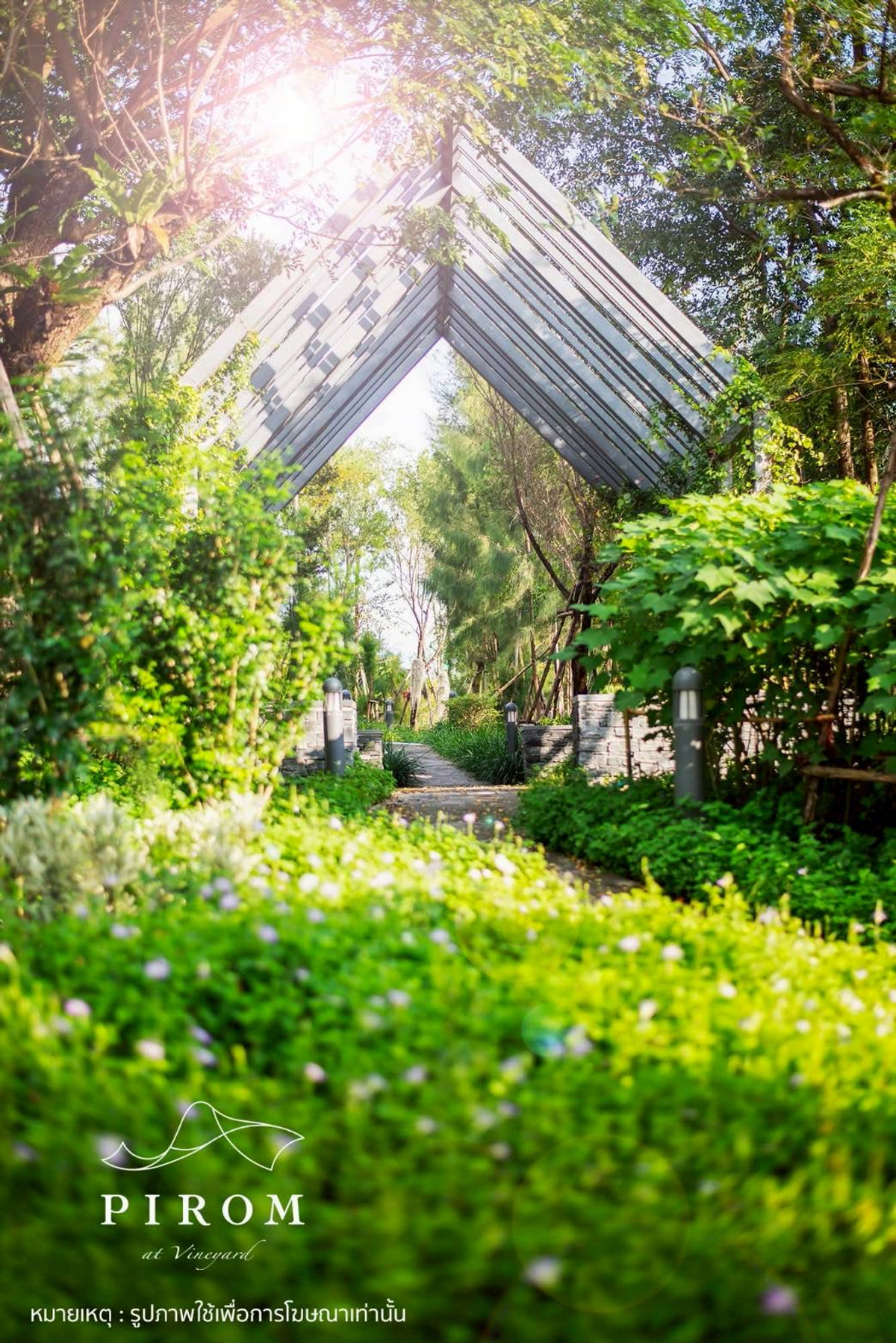 For SaleLandChiang Mai : Pirom At Vineyard Khao Yai Project Pirom At Vineyard Code: L8054