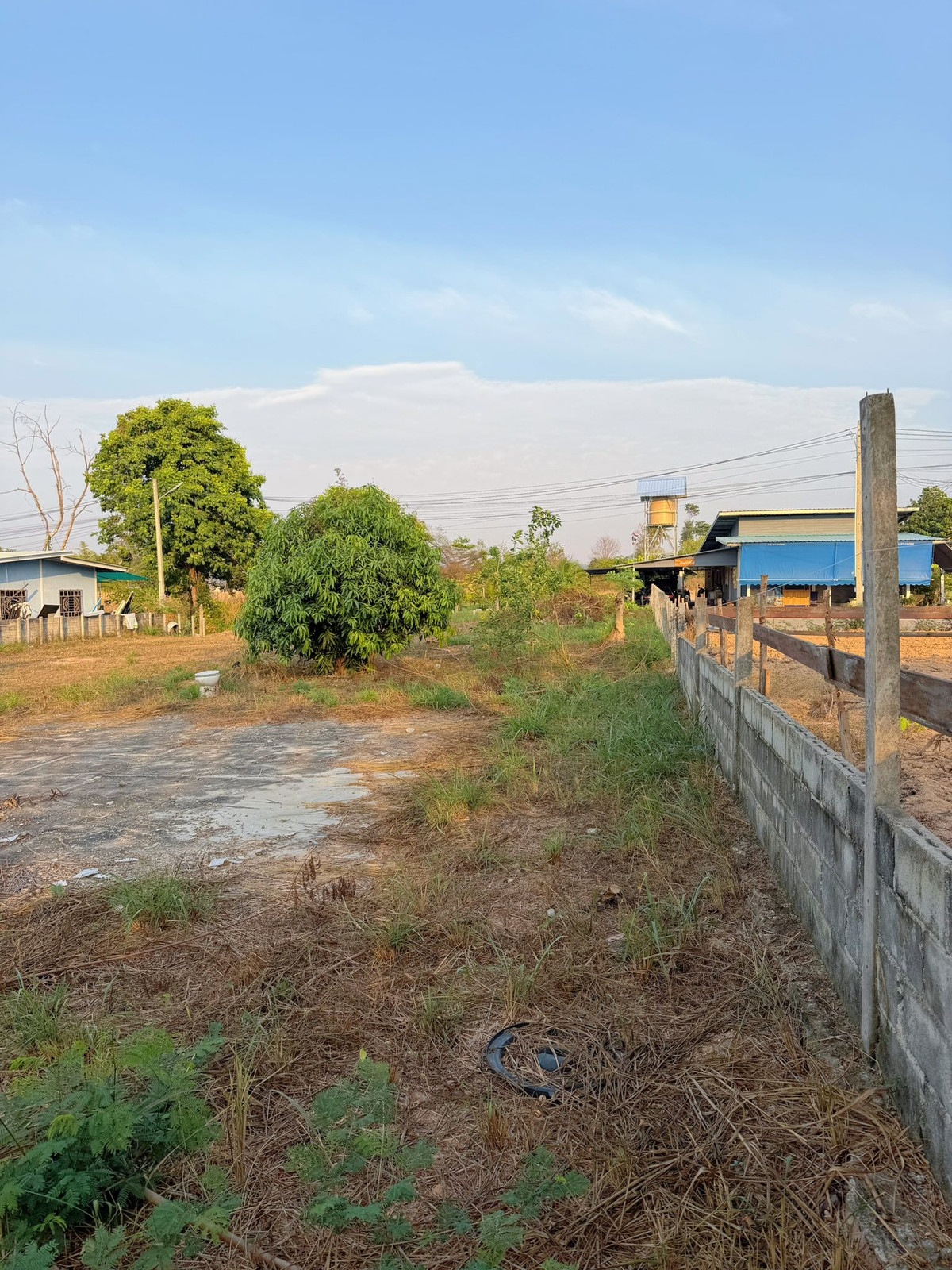 ขายที่ดินพัทยา บางแสน ชลบุรี สัตหีบ : ที่ดิน 204 ตร.ว. มาบประชันบน / (ขาย), Land 204 sq m. Map Prachan Bon / (FOR SALE) BEWN070