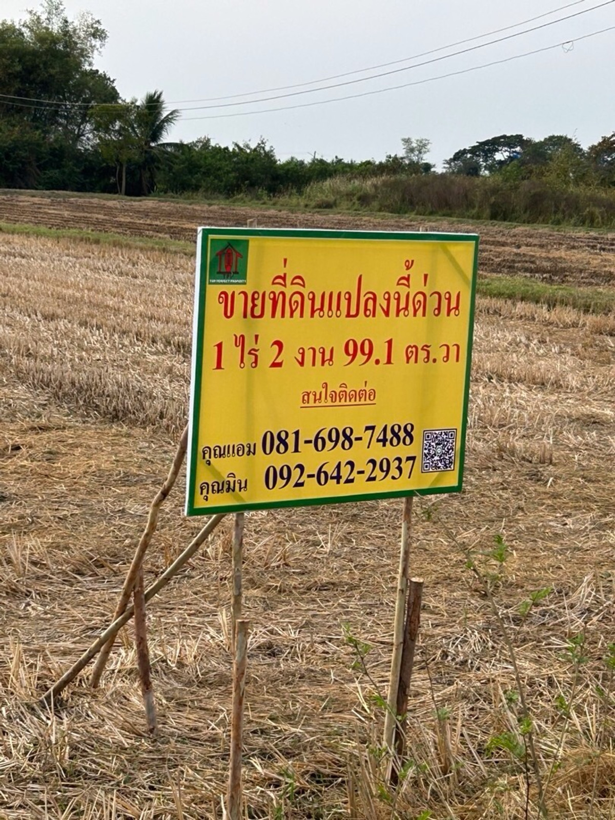 For SaleLandCha-am Phetchaburi : Urgent sale of farming land Located at Na Phan Sam, Village No. 4, Mueang District, Phetchaburi.